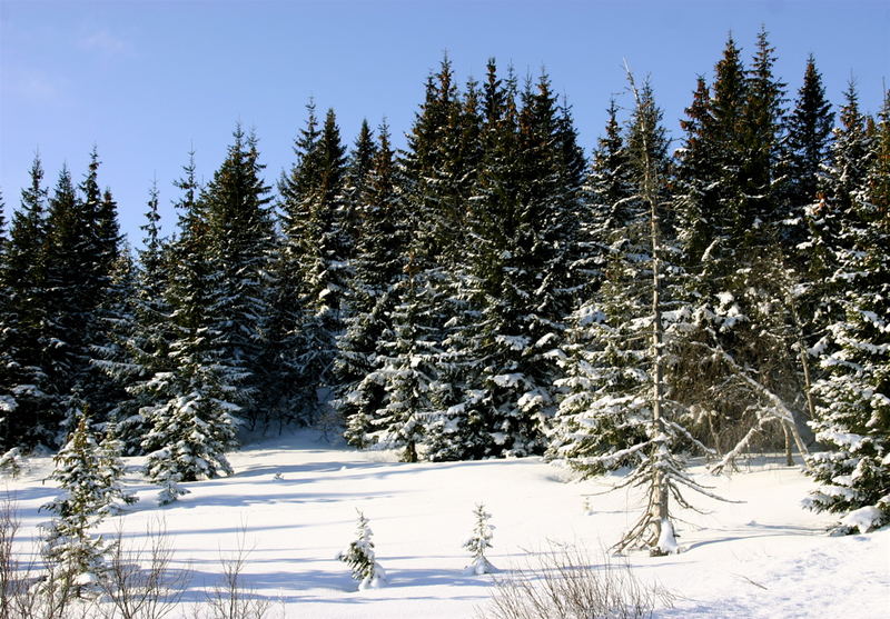 Winter in Norway !