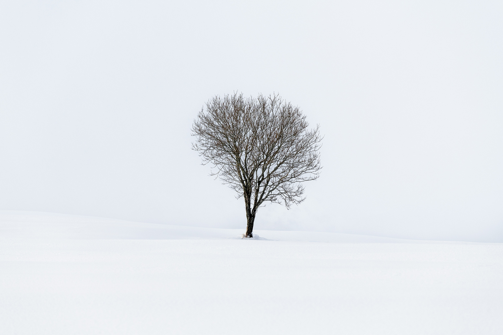 Winter in Norwegen