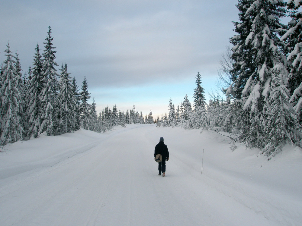 Winter in Norwegen