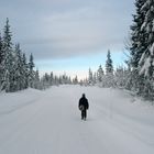 Winter in Norwegen