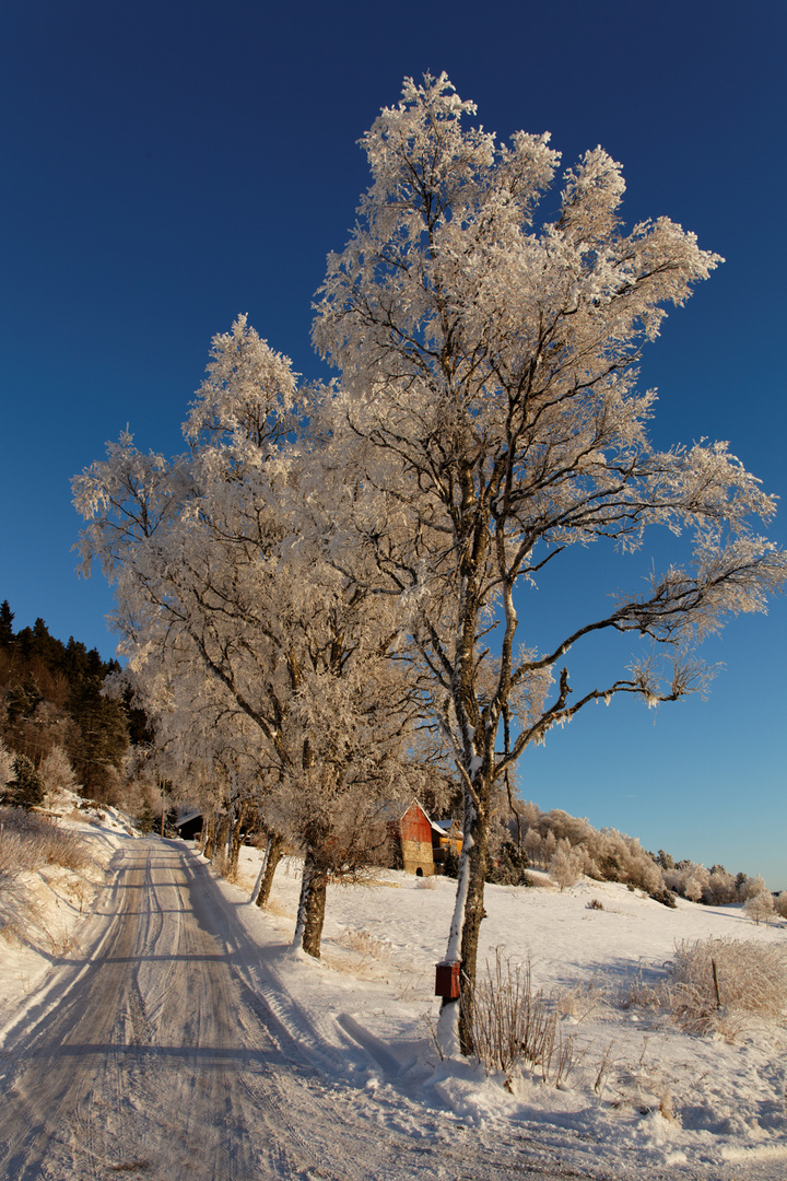 Winter in Norwegen01