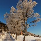 Winter in Norwegen01