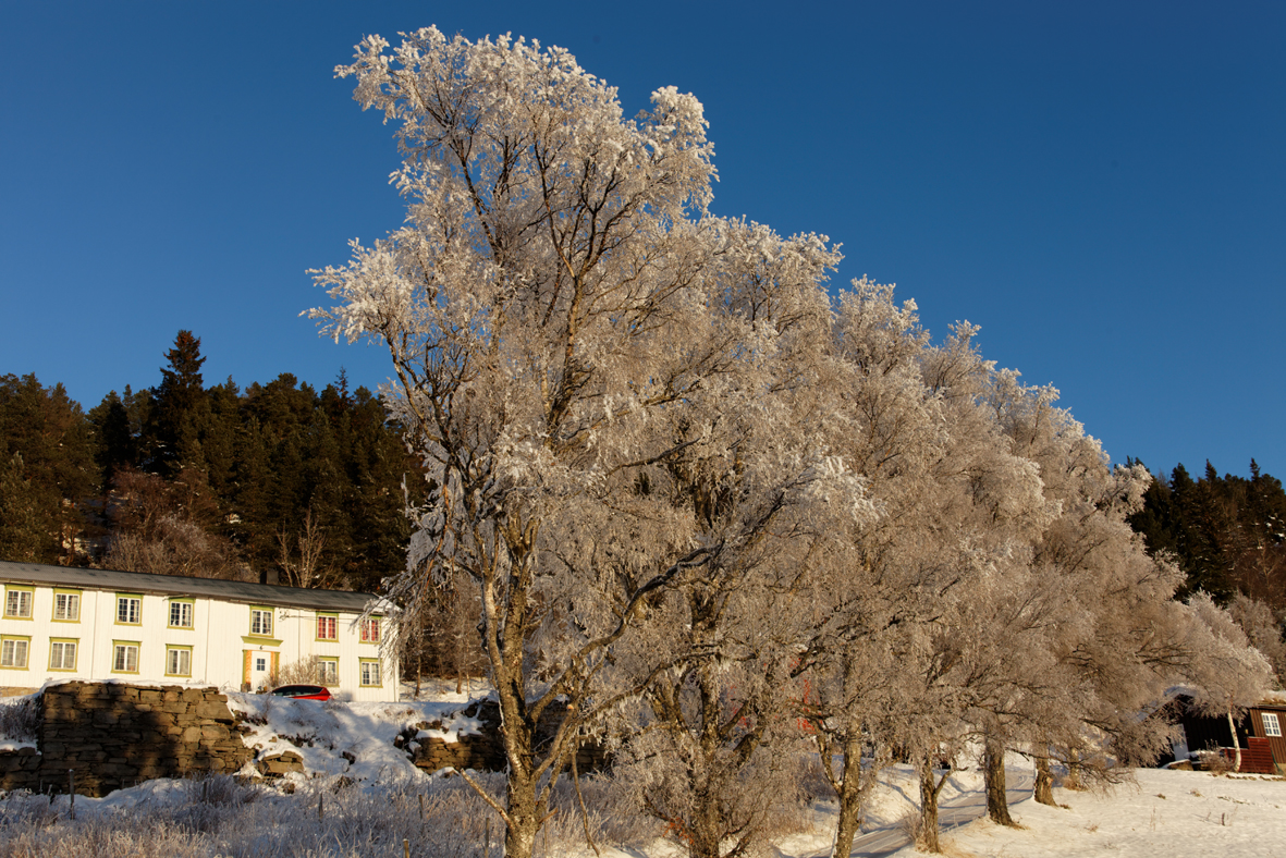 Winter in Norwegen02