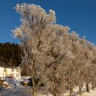 Winter in Norwegen02