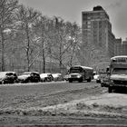 Winter in N.Y.C. 4