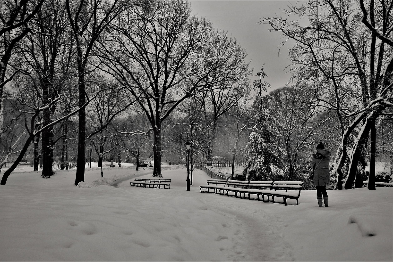 Winter in N.Y.C. 6