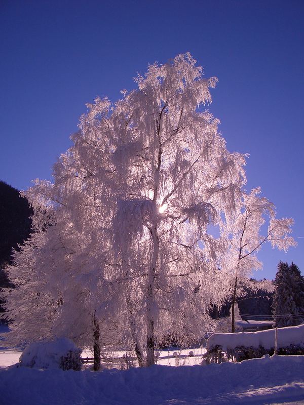 Winter in Obb.