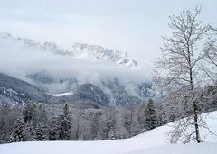 Winter in Oberau