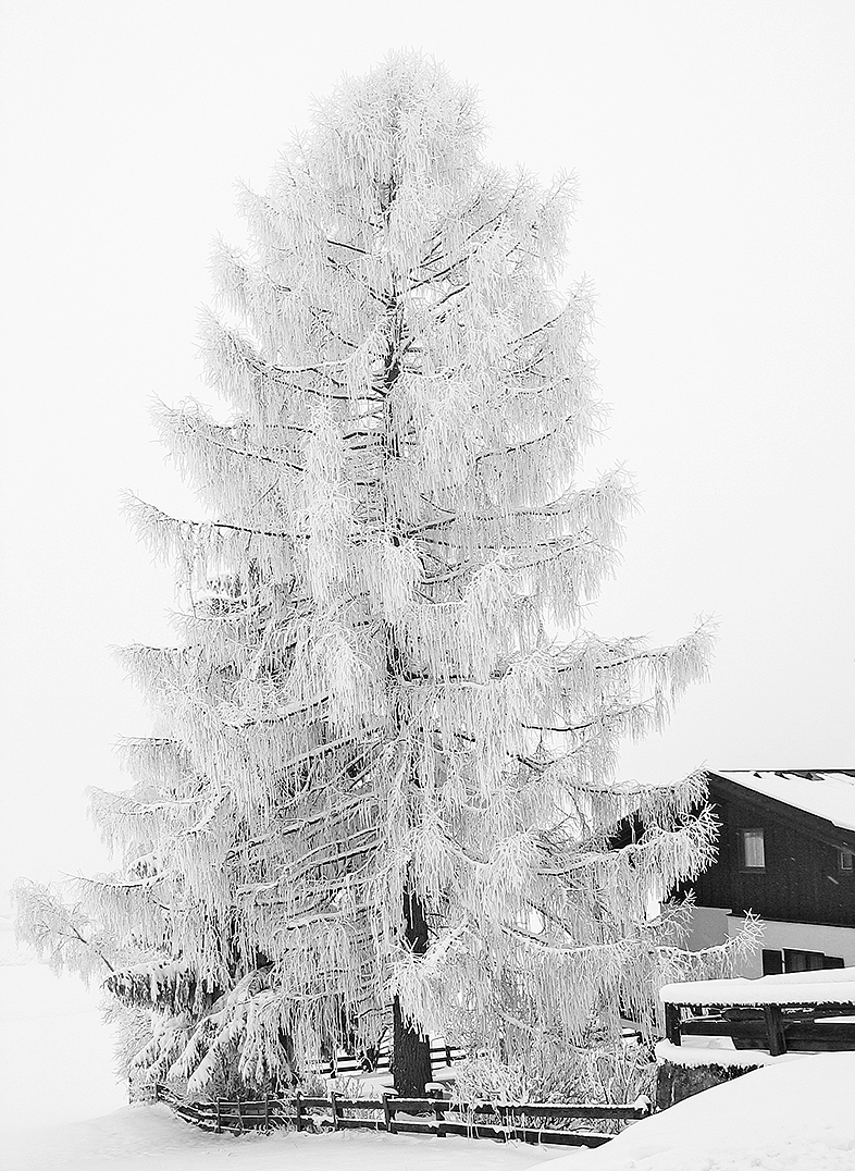Winter in Oberau