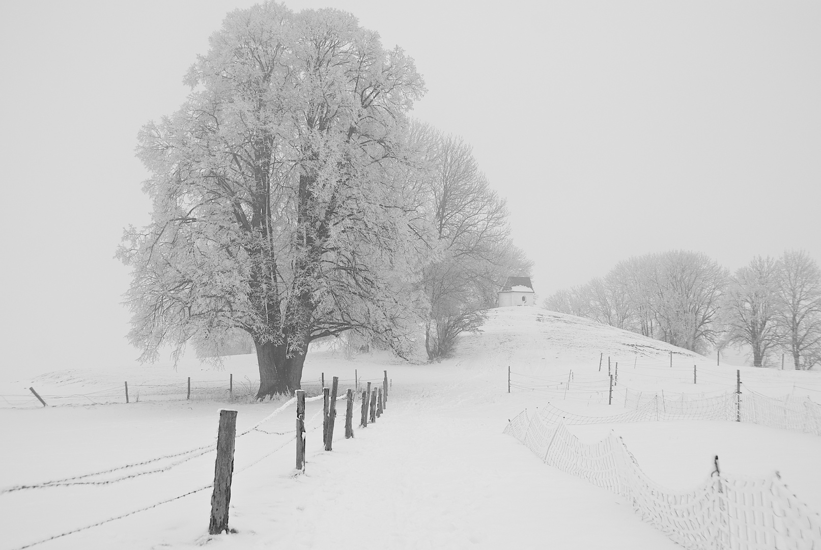 Winter in Oberbayern