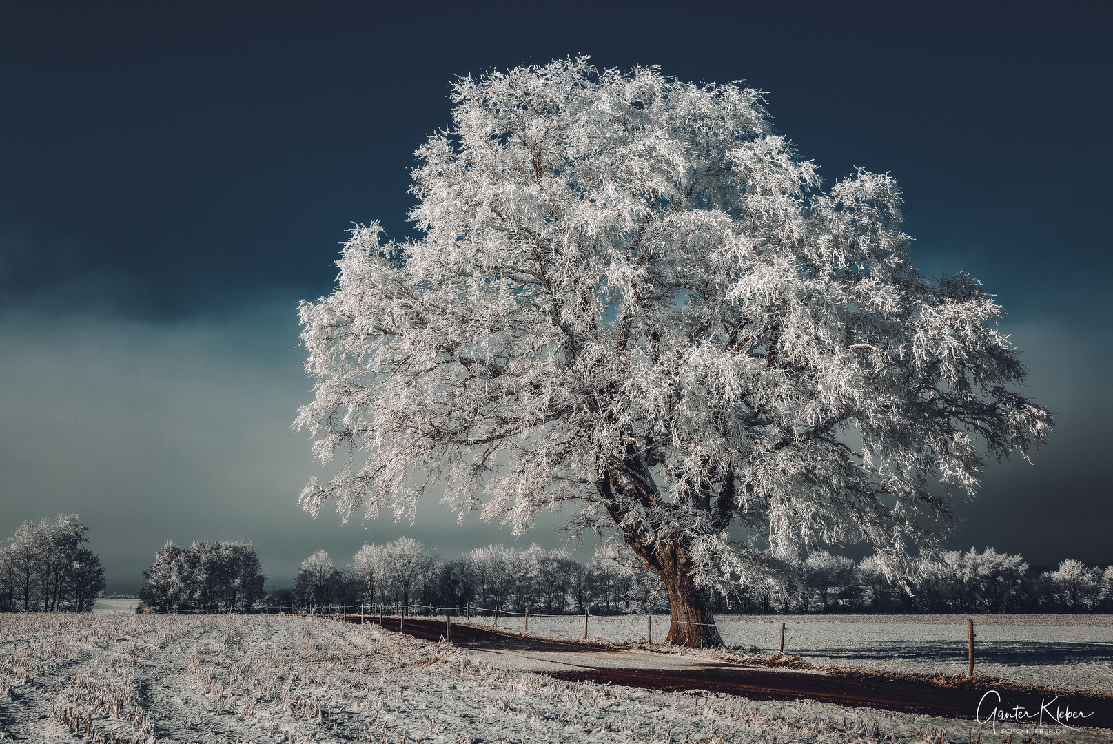 Winter in Oberbayern 