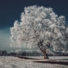 Winter in Oberbayern 