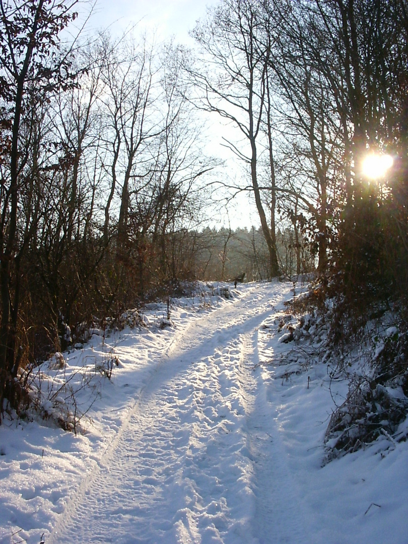 Winter in Oberberg