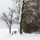 Winter in Oberfranken 1