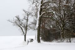 Winter in Oberfranken 1