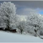 Winter in Obergrainet