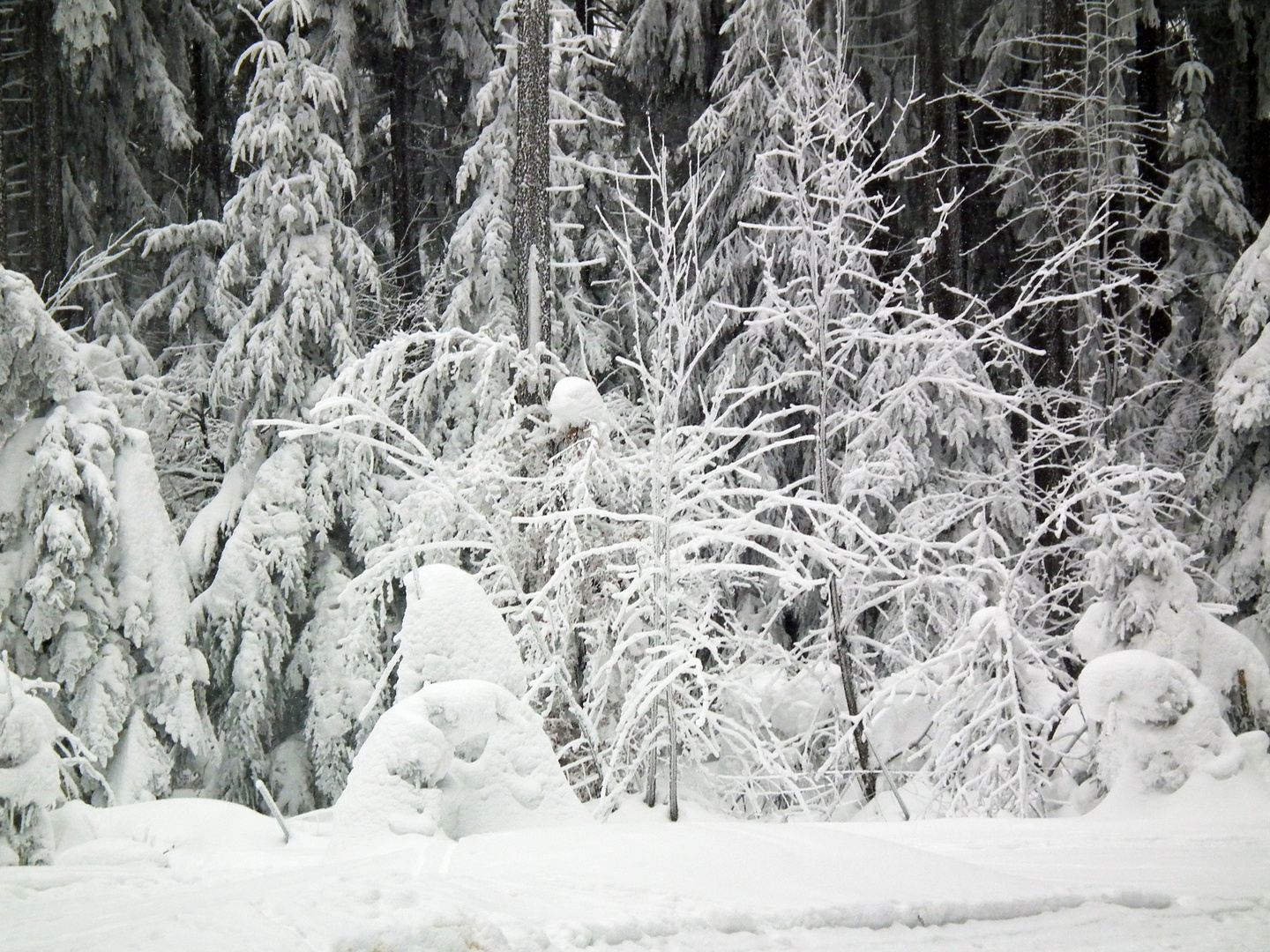 Winter in Oberhof