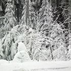 Winter in Oberhof