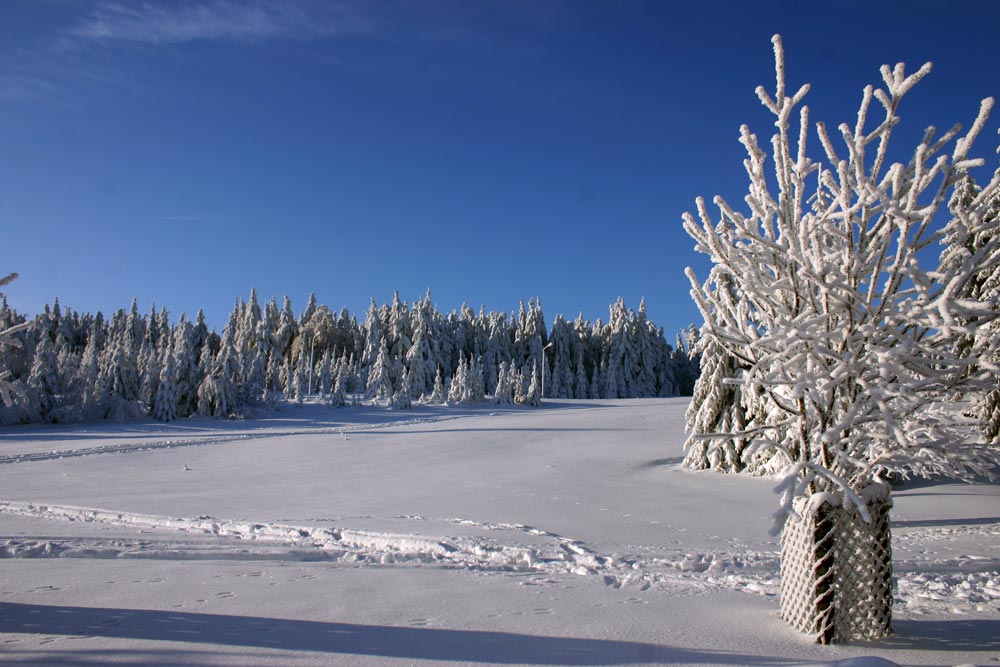 Winter in Oberhof 2006