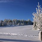 Winter in Oberhof 2006