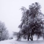 Winter in Oberhof