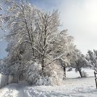 Winter in Oberschwaben 