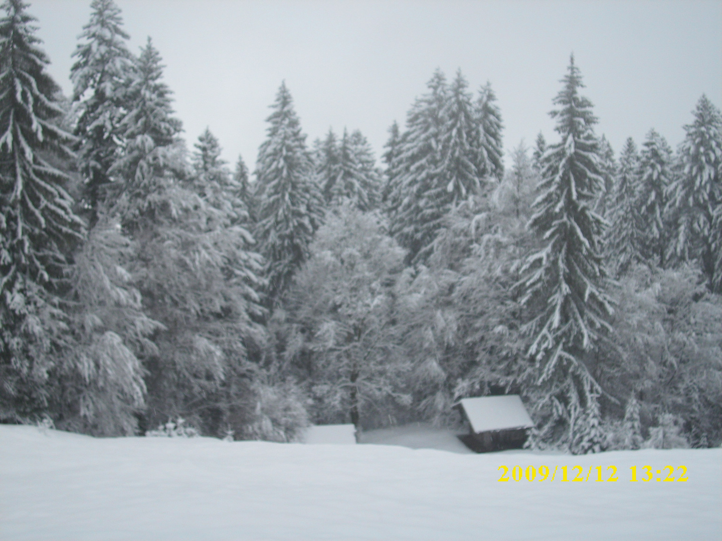 winter in oberstdorf