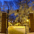 Winter in Odessa