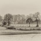 Winter in Oedt am linken Niederrhein