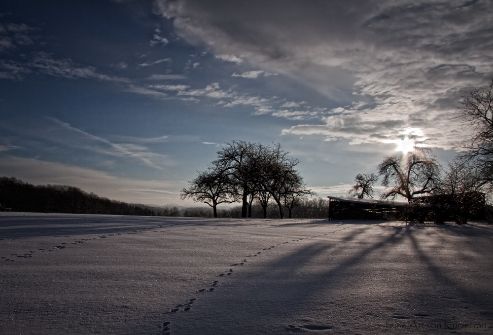 Winter in Oesbern