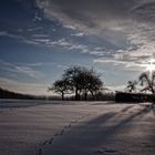 Winter in Oesbern