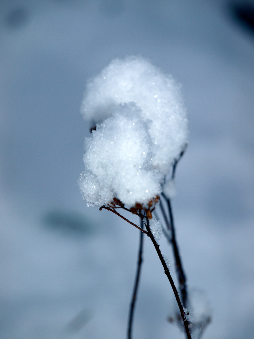 Winter in Österreich