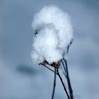 Winter in Österreich