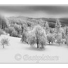 Winter in Österreich