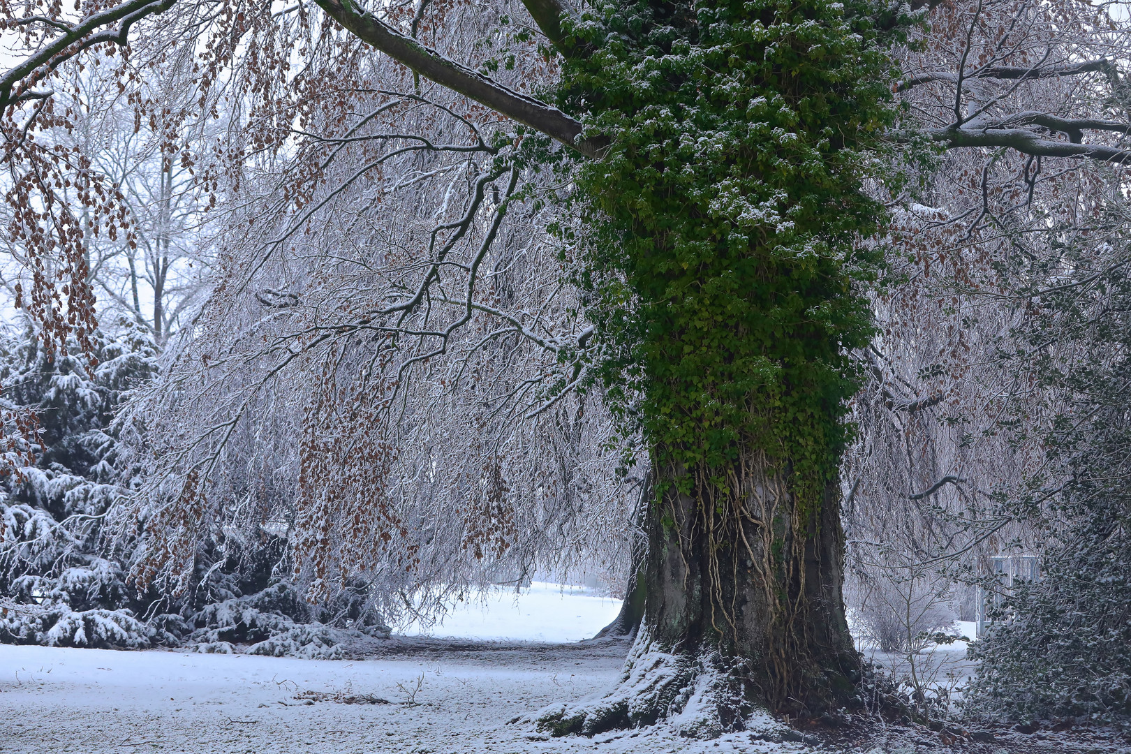 Winter in Opherdicke