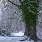 Winter in Opherdicke