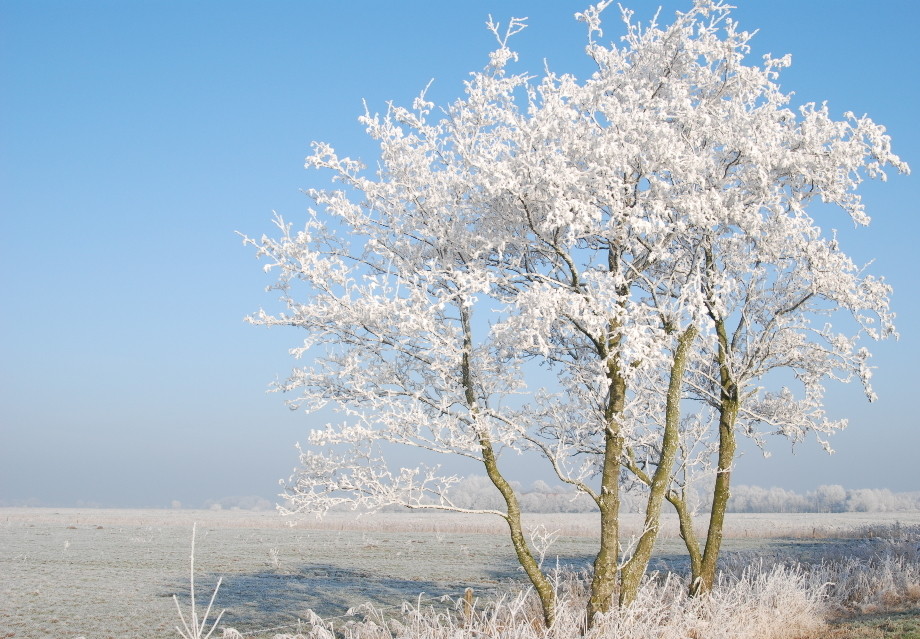 Winter in Ostfriesland 1