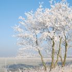 Winter in Ostfriesland 1