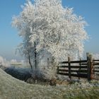 Winter in Ostfriesland