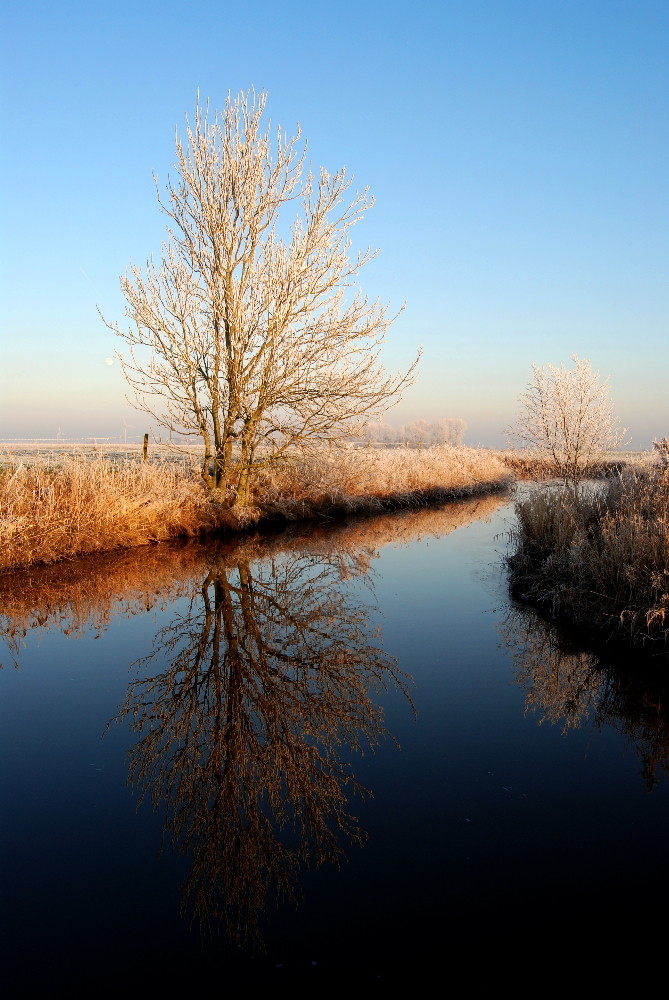 Winter in Ostfriesland, Harle 2, Wittmund