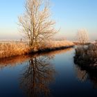 Winter in Ostfriesland, Harle 2, Wittmund