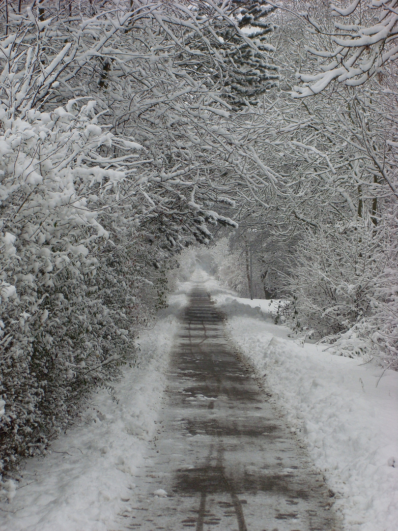 Winter in Ostfriesland, Wittmund