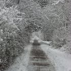 Winter in Ostfriesland, Wittmund