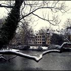 Winter in Paderborn