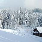 Winter in Pfaender, Austria