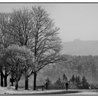 Winter in Pfrondorf 2020