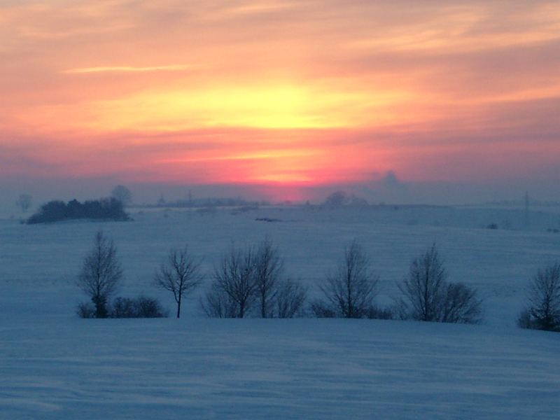 Winter in pink