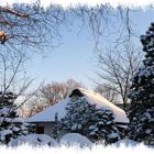 Winter in Planten und Blomen Hamburg