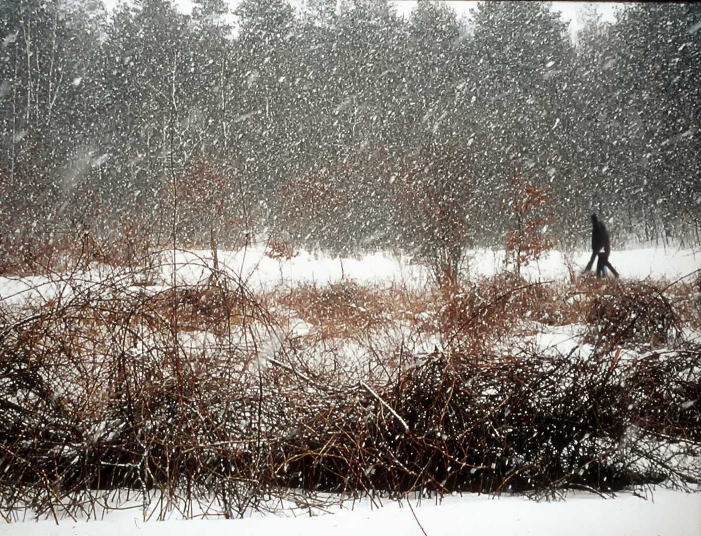 Winter in Poland