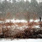 Winter in Poland